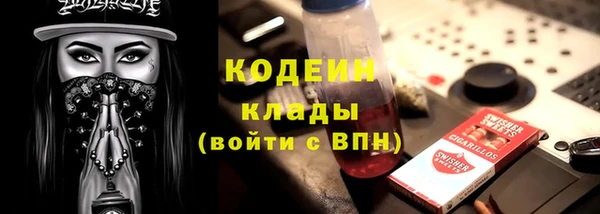 PSILOCYBIN Кодинск