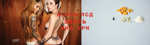 PSILOCYBIN Кодинск