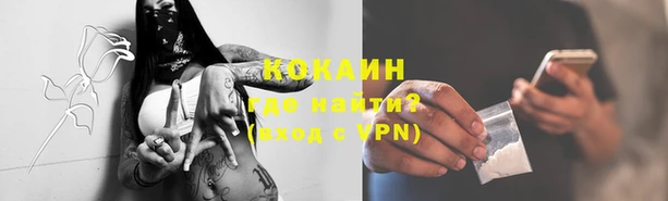 дмт Касимов