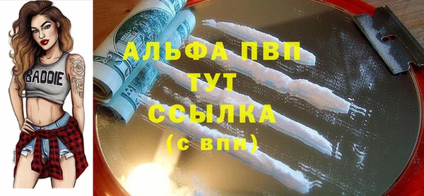 прущий лед Карпинск