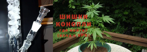 прущий лед Карпинск