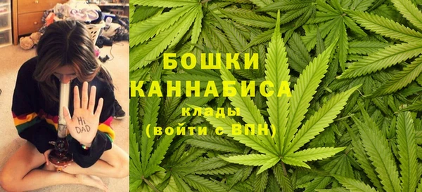PSILOCYBIN Кодинск